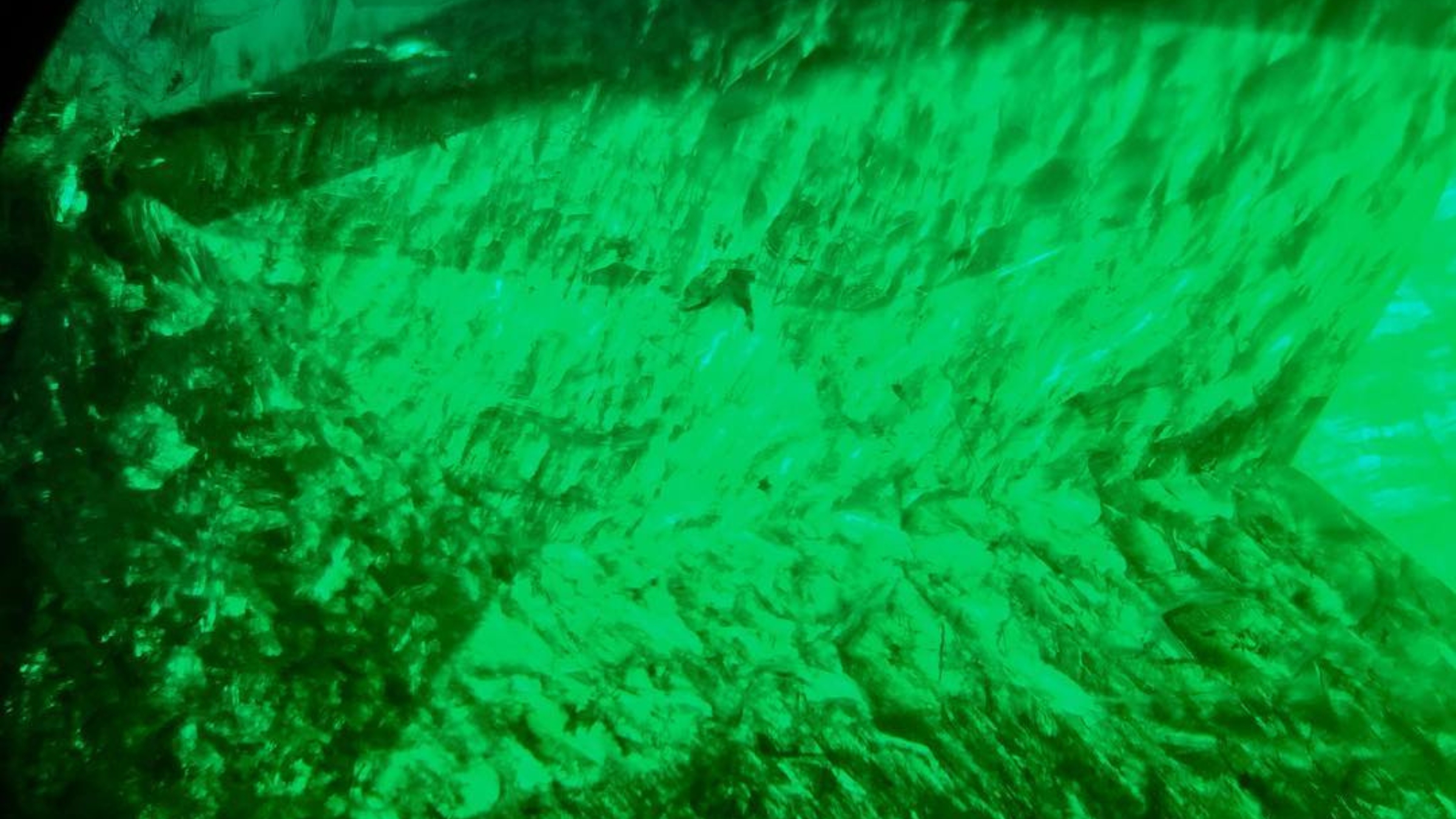 Une émeraude présentant l’effet Gota de Aceite