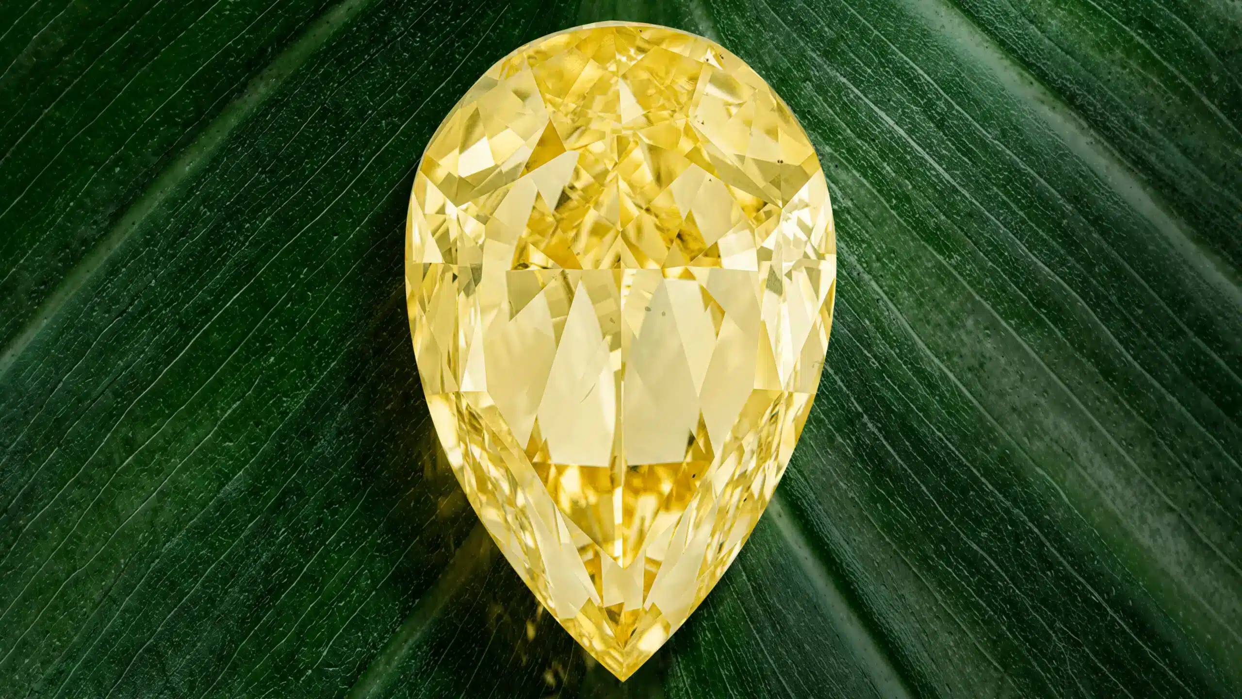 THE-YELLOW-ROSE-UNMOUNTED-COLOURED-DIAMOND